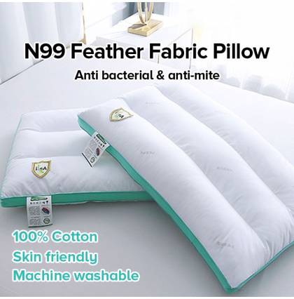 N99 100% Feather Fabric Pillow Skin Friendly Anti Bacterial Mite Inhibits Influenza A Machine Washable
