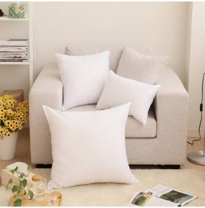 Throw Pillow Insert Fluffy and Soft Back Support Cushion Filling for Sofa Bed